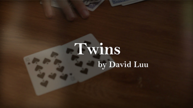 Twins by David Luu video DOWNLOAD