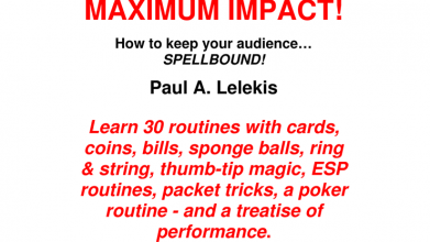 MAXIMUM IMPACT by Paul A. Lelekis eBook DOWNLOAD