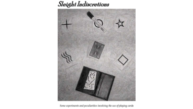 Sleight Indiscretions by Brian Lewis eBook DOWNLOAD